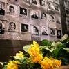 Holocaust: projekt vagón