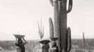 Podívejte se na unikátní magické kouzlo starých fotografií amerických indiánů jak je zachytil okolo roku 1900 fotograf Edward Sheriff Curtis.