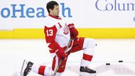 Největší domácí hvězdou bude bezpochyby Pavel Dacjuk. Dlouholetá opora Detroitu, která se po sezoně pravděpodobně přesune do KHL, letos odehrála za Red Wings 66 zápasů s bilancí 16+33 a jen o bod prohrála týmové bodování. Každopádně Detroit i díky jeho výkonům už po 25. za sebou postoupil do play off a Dacjuk na tom má posledních 15 sezon lví podíl. Zatím absolvoval 5 světových šampionátů, ve kterých nasbíral úctyhodných 30 bodů ve 39 utkáních.