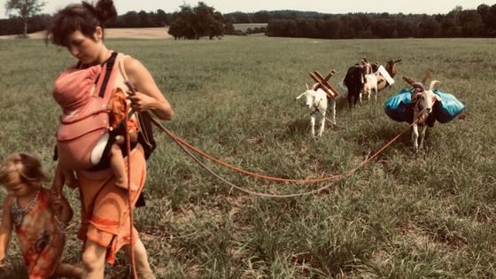 Vandr po Česku s kozami? Jsou super parťáci, říká pastýř, jenž s nimi chodí i na pivo