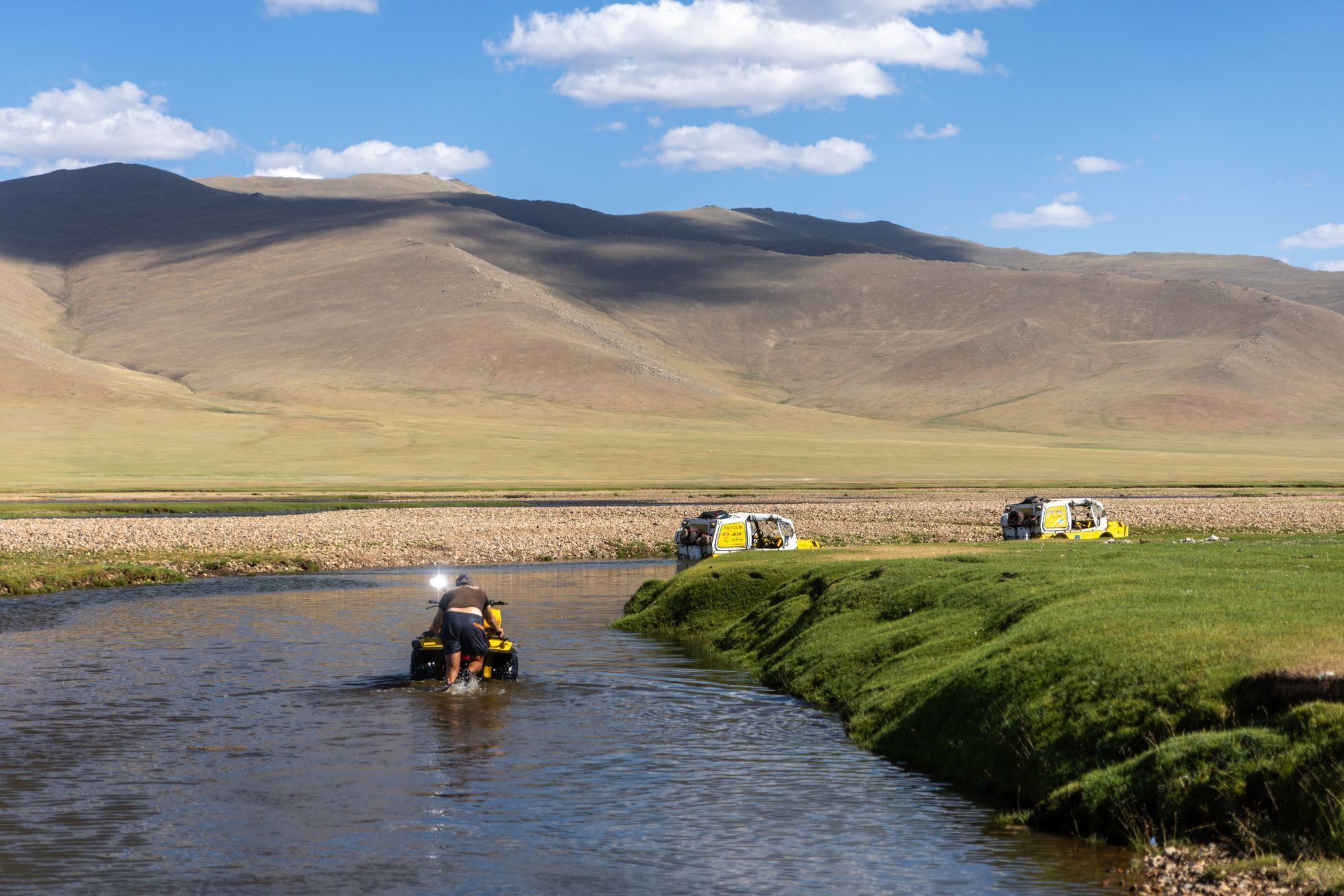 Žlutá žába pluje