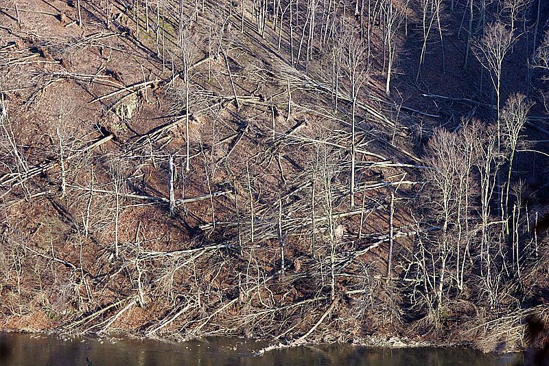 Emma si hrála s duby