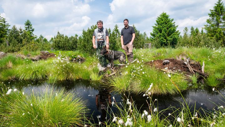 Obnovili rašeliniště, rozvolnili potoky, sází lesy. Pomáhají přežít přírodě i lidem; Zdroj foto: Adapterra Awards - Nadace Partnerství (Vojta Herout)