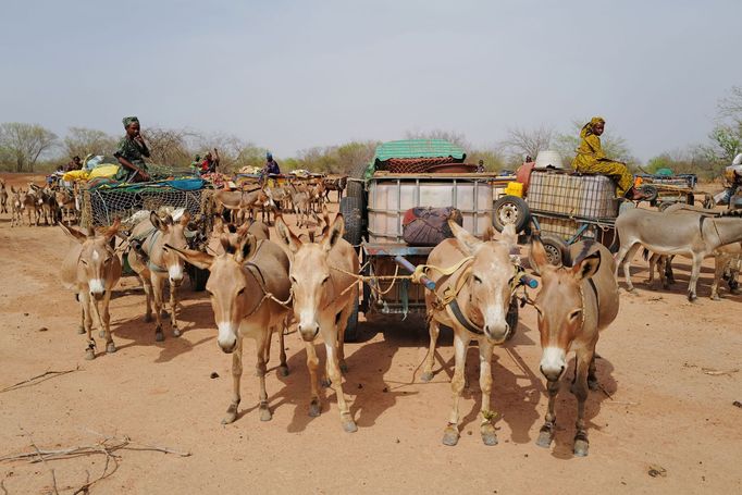 Kruhové zahrady Tolou Keur v Senegalu.