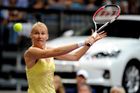 Již v roce 1993 si grandslamové finále zahrála Jana Novotná, když ve Wimbledonu podlehla Steffi Grafové.