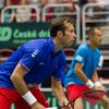 DC, Česko-Francie čtyřhra: Radek Štěpánek a Lukáš Rosol