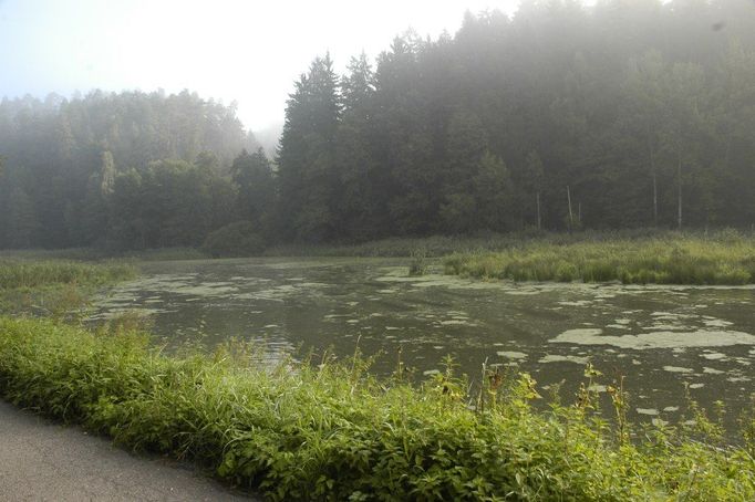 Rybník Šušek v Písečné před revitalizací.