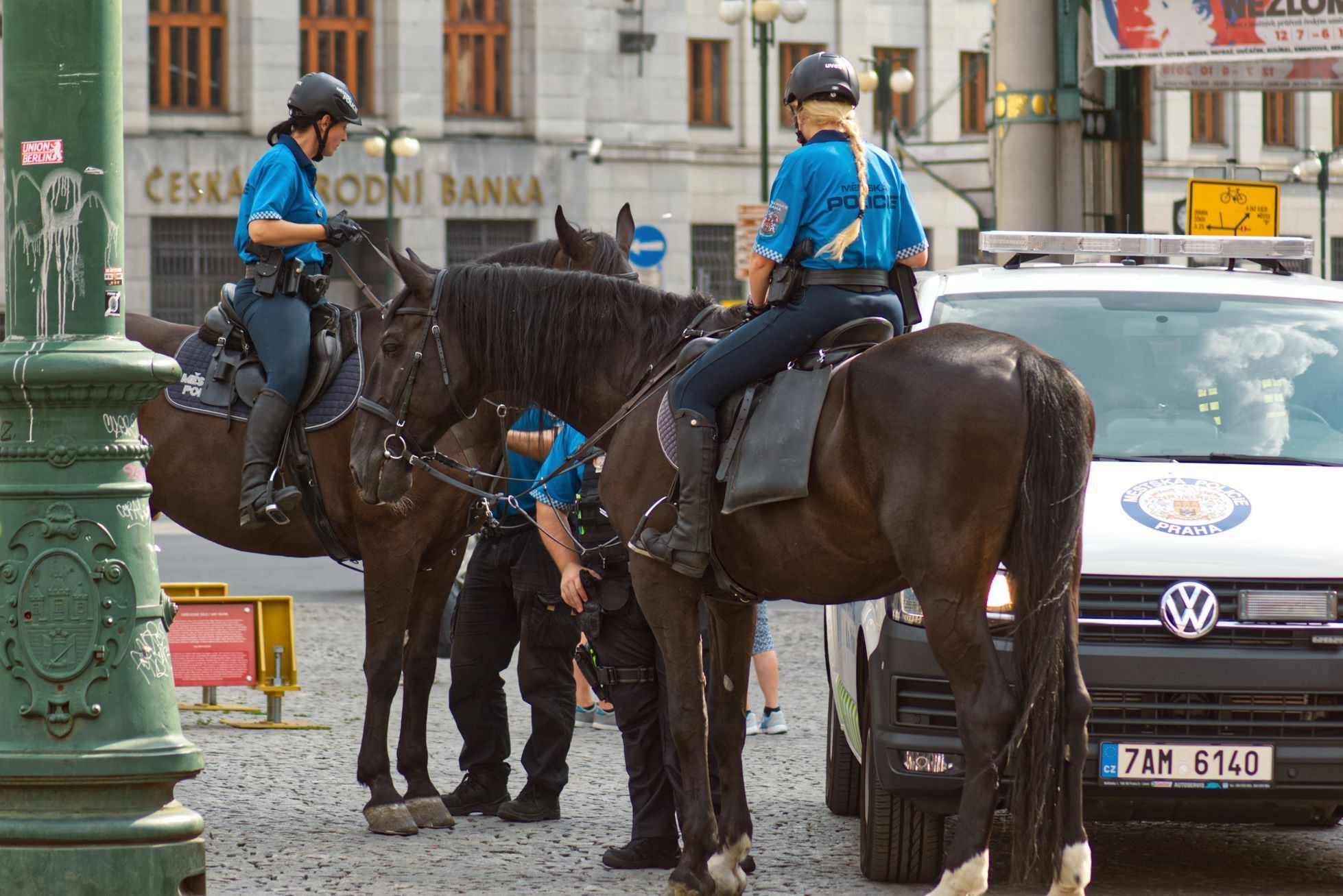 koně praha policie strážníci pražská jízdní hlídka