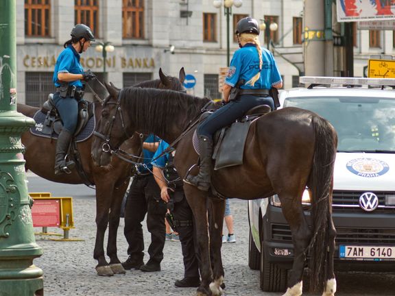 Policisté v Praze na koních nevadí, ale povozy ano? Na dvojí metr upozornila Asociace svazu chovatelů koní.