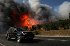 Válka ničí lidi i přírodu. V Gruzii hoří vzácné lesy