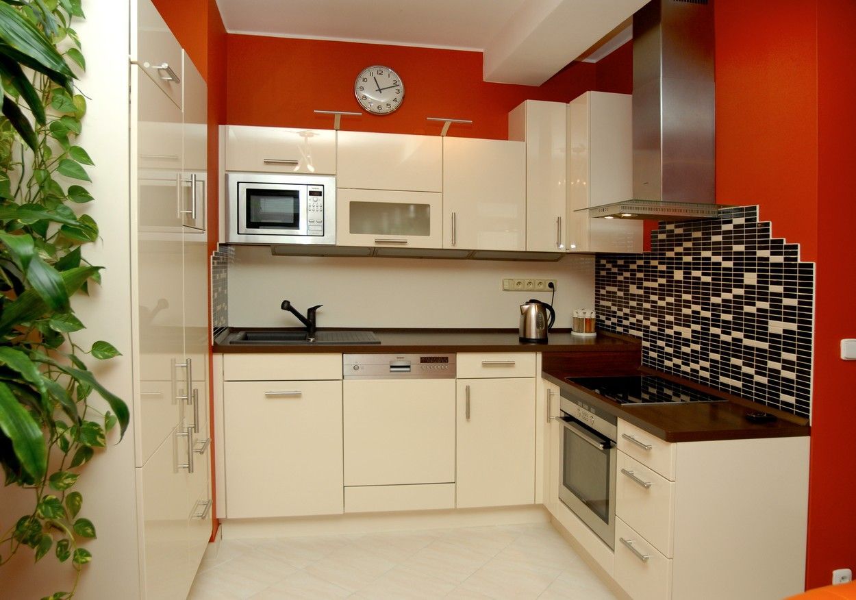 jagelka, cibulka, kuchyne