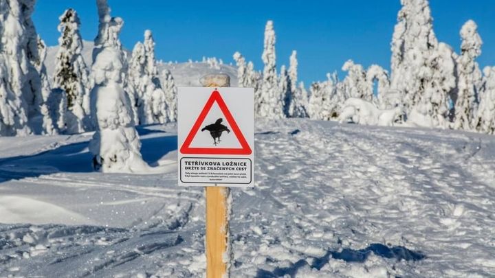 Tak takhle fakt ne! reaguje KRNAP na bezohledné lyžaře. Posiluje hlídky v terénu
