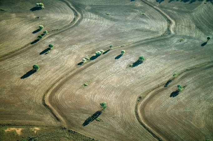 Farmland pattern Australia Queensland a few of the numerous cotton and grain farmfields near the town of Roma west of the Great Dividing Range