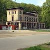 Sekvojovec obrovský zasazen ve Stromovce
