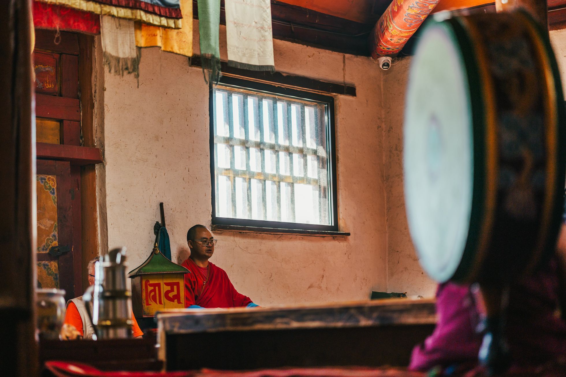 Žlutá žába Dan Přibáň