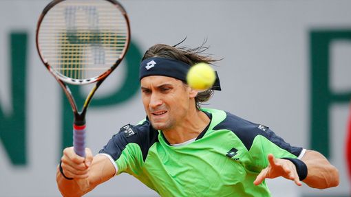 Tenis, French Open, finále: David Ferrer