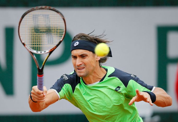 Tenis, French Open, finále: David Ferrer