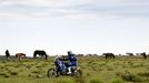 Rallye Dakar 2013, devátá etapa mezi Tucumánem a argentinskou Cordobou (Brit Lyndon Poskitt)