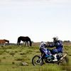 Rallye Dakar 2013, devátá etapa mezi Tucumánem a argentinskou Cordobou (Brit Lyndon Poskitt)