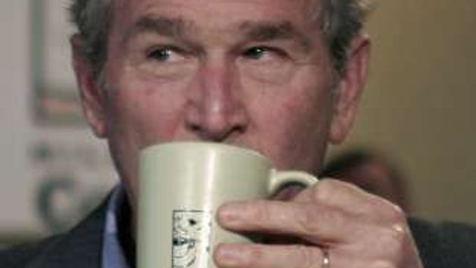 Američané volí. Co vzkážou Bushovi?