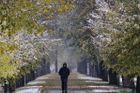 Přijde další ochlazení, v Tatrách už začne sněžit