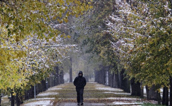 A man walks in a park as the first snowfall of the season hits Prague October 27, 2012. REUTERS/David W Cerny (CZECH REPUBLIC - Tags: ENVIRONMENT) Published: Říj. 27, 201