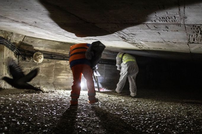 Barrandovský most - připravovaná oprava, prohlídka s primátorem Hřibem. Praha, 8. 2. 2022.