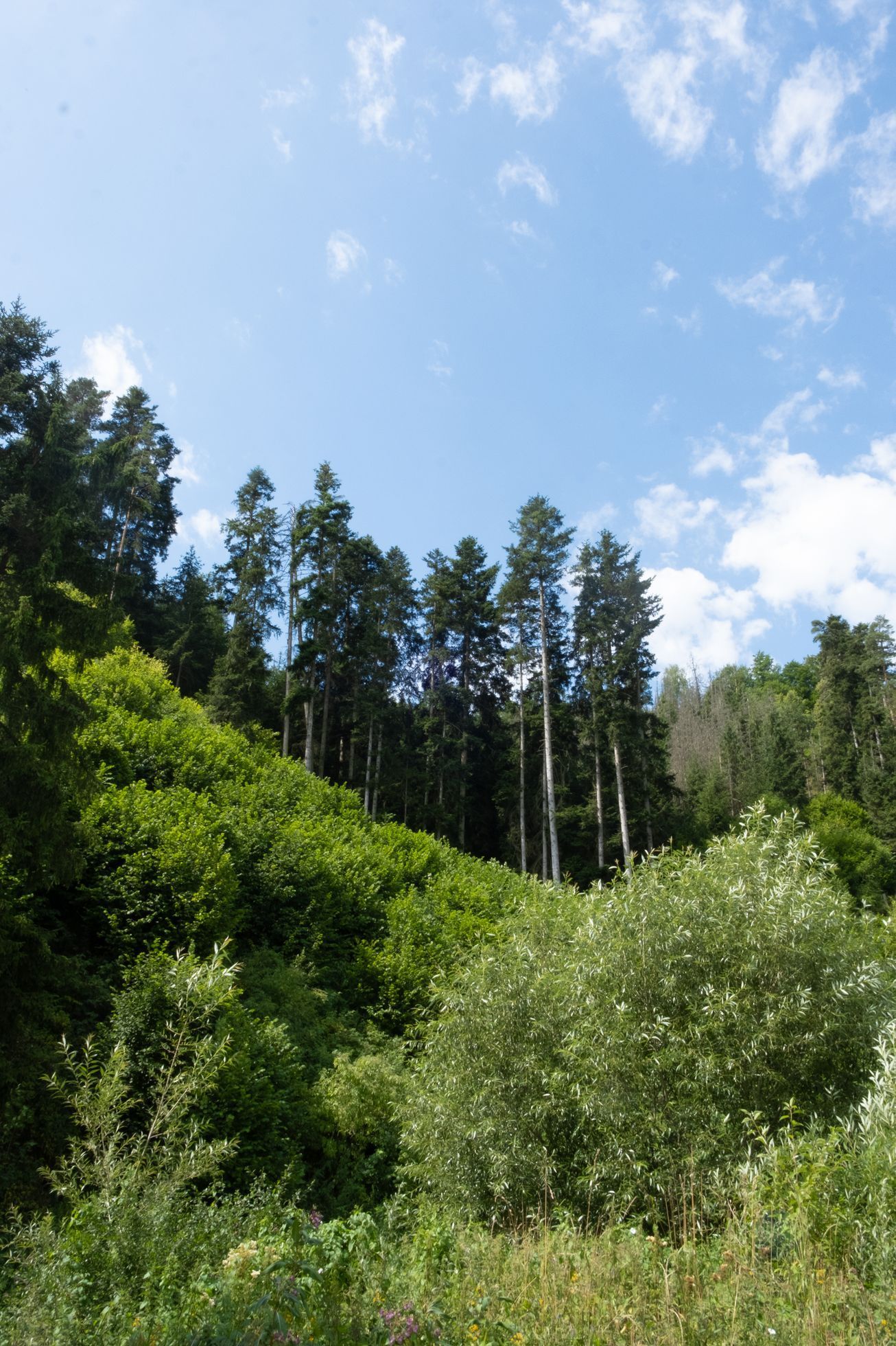 Údolí řeky Bobrovky