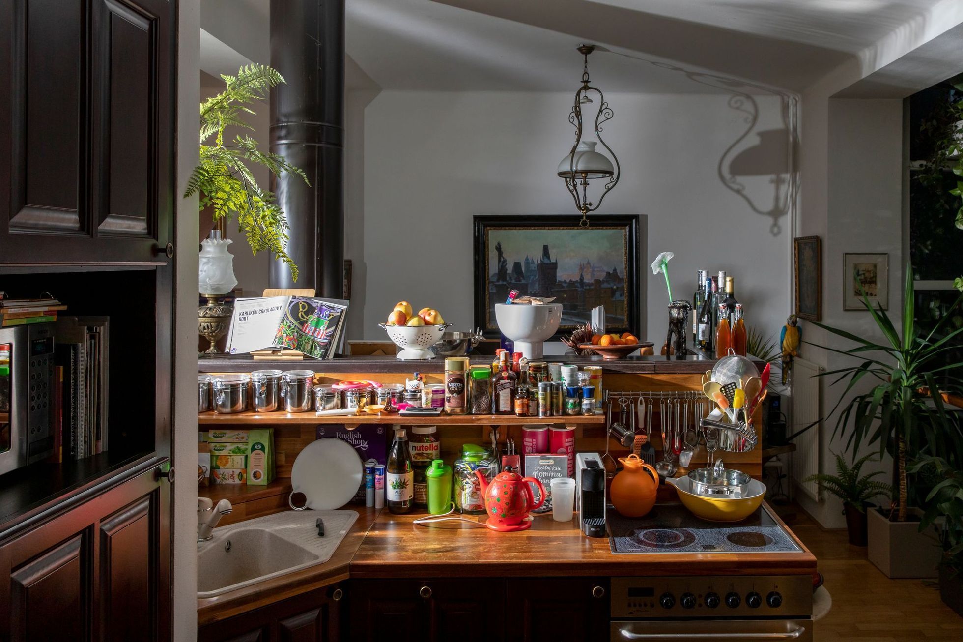 Jak bydlí Dagmar Pecková