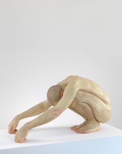 Ron Mueck: Untitled (Shaved Head), 1998