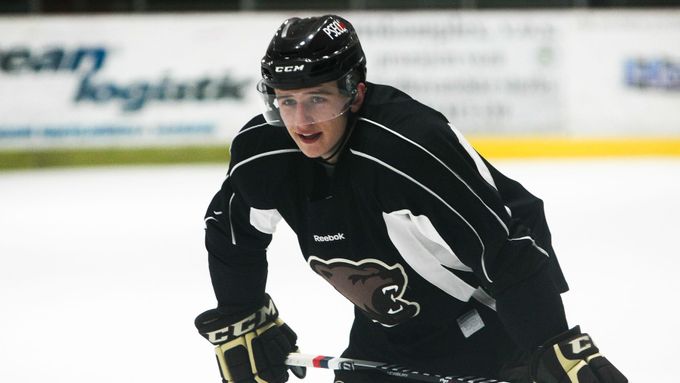 V AHL hrál v minulé sezoně například český útočník Jakub Vrána