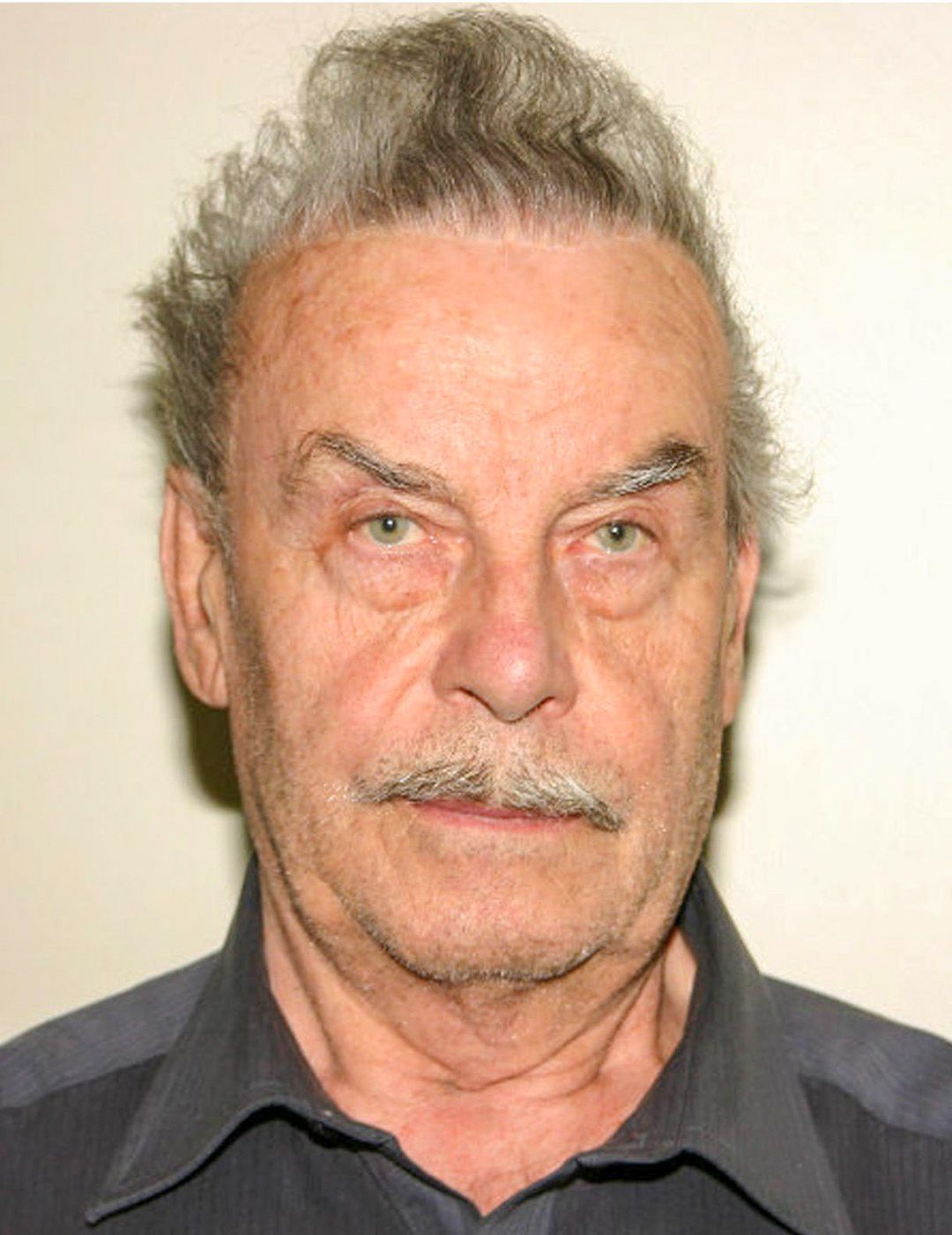 Josef Fritzl, Kauza Amstetten, únos, znásilnění, incest, Rakousko, Zahraničí