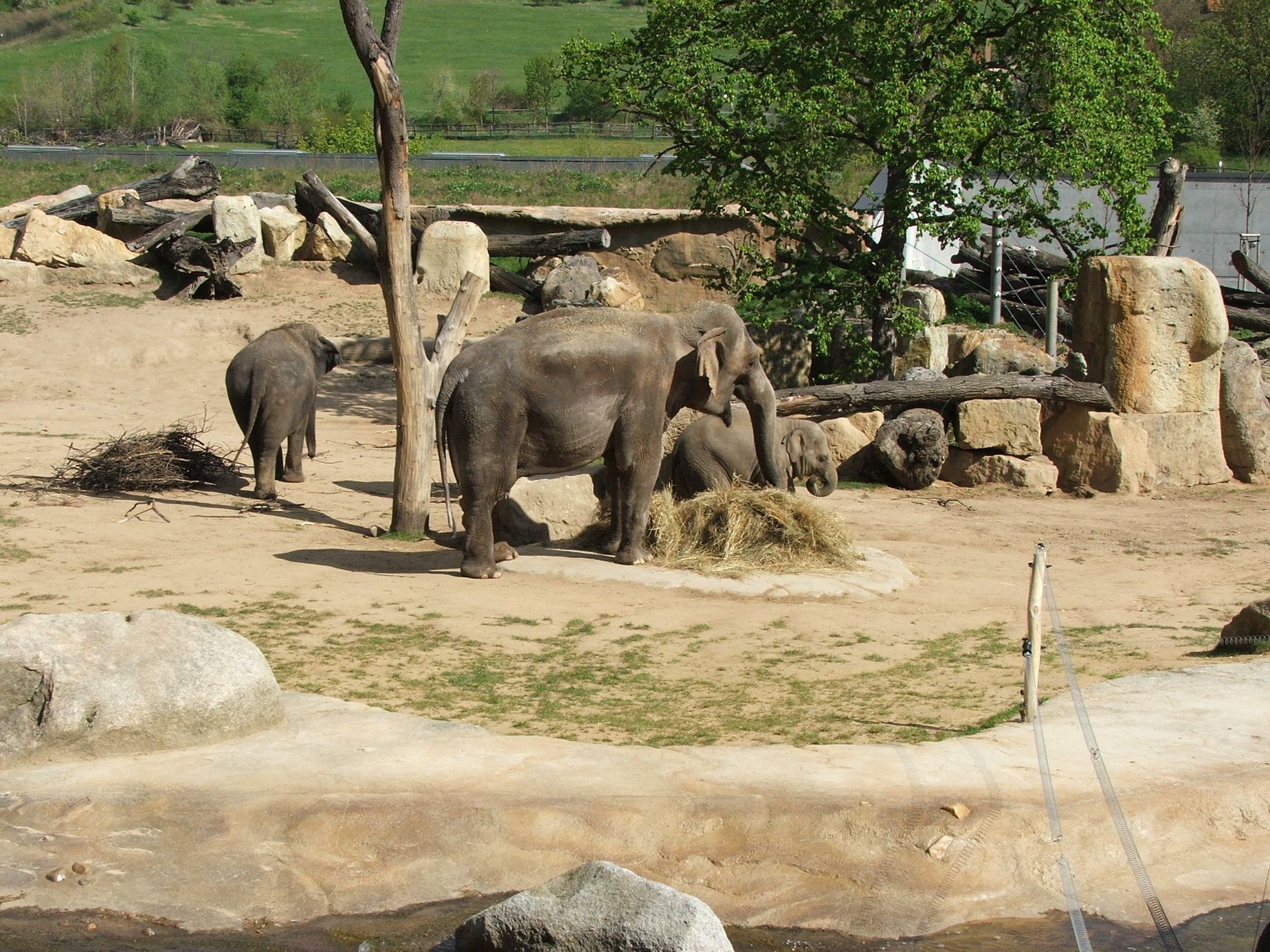 Údolí slonů - ZOO Praha