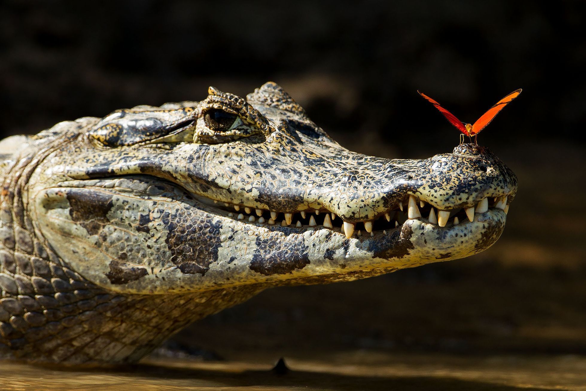 Ondřej Záruba - fotografie z Rallye Dakar