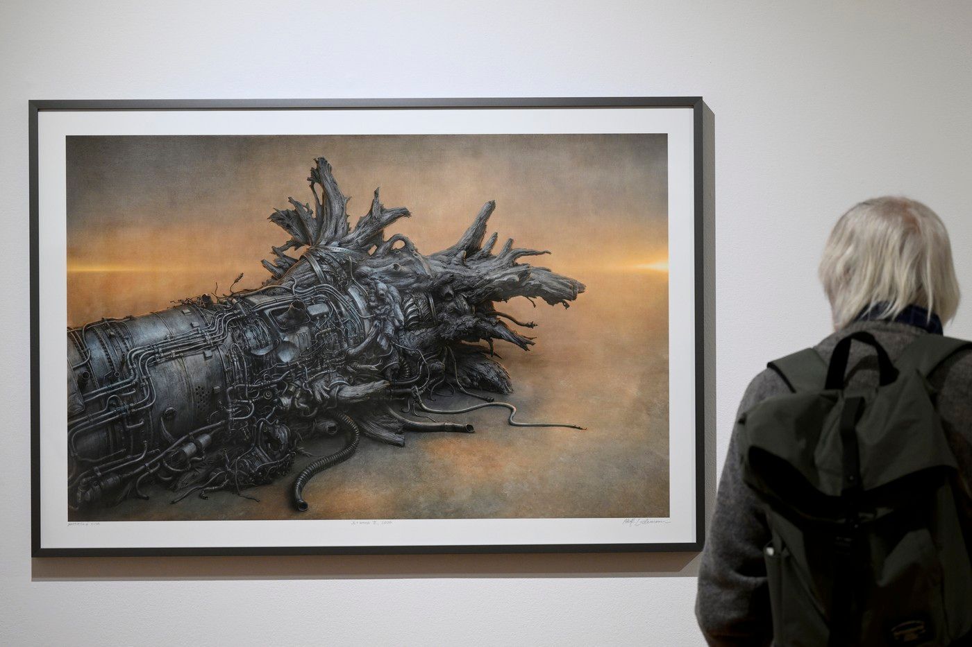 Adolf Lachman, výstava, Villa Pellé, 2024