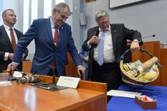Prezident se zastal Babiše. Demonstranti protestují proti svobodným volbám, řekl
