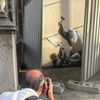 Banksy, Londýn, Velká Británie, Nejvyšší soud, Palestine Action, mural, street art, graffiti