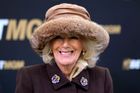 Královna Camilla přichází předat trofej vítězům Queen Mother Champion Chase. Dostih pojmenovaný po královně matce patří mezi nejprestižnější závody druhého dne festivalu.