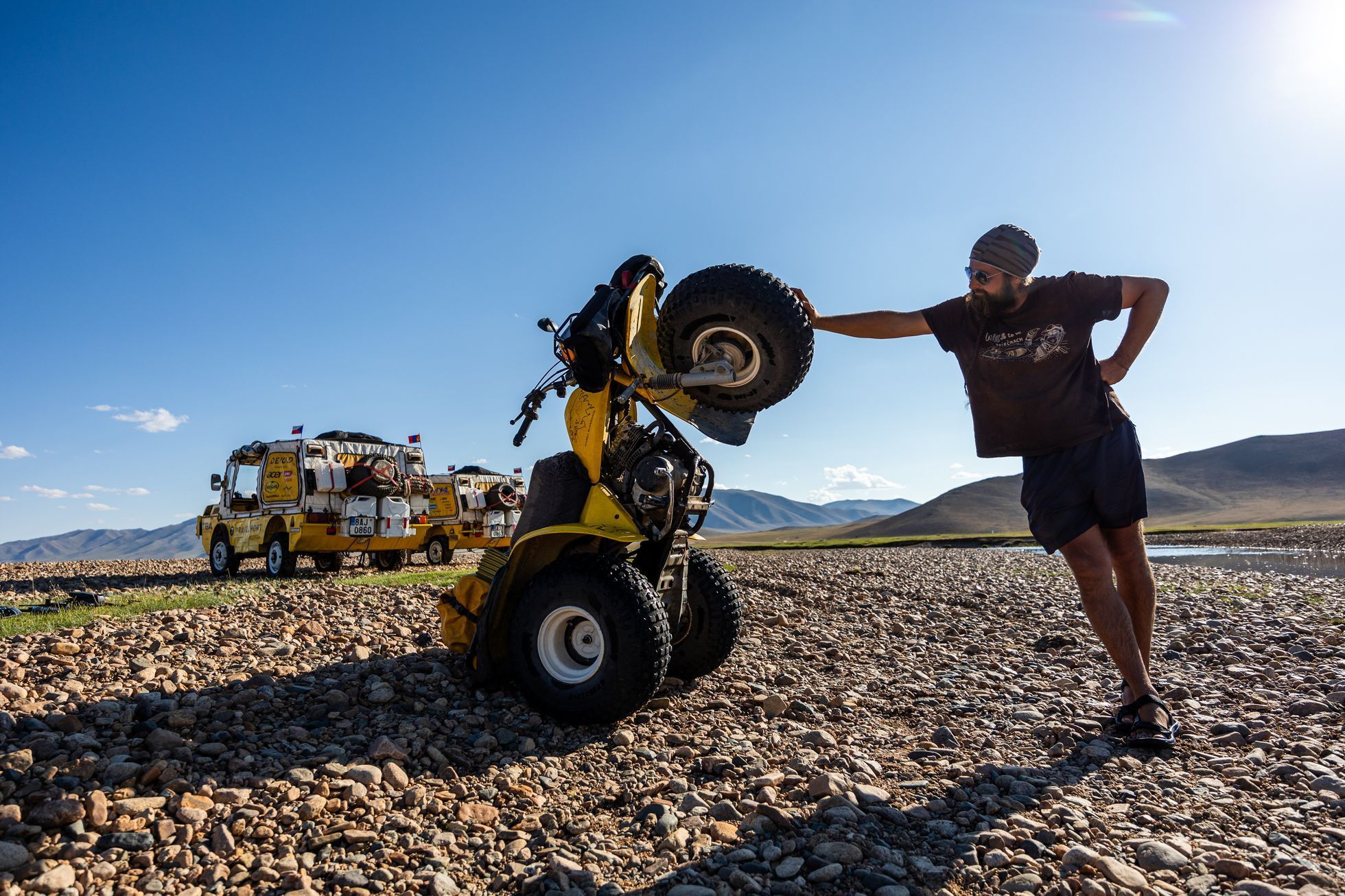 Žlutá žába pluje
