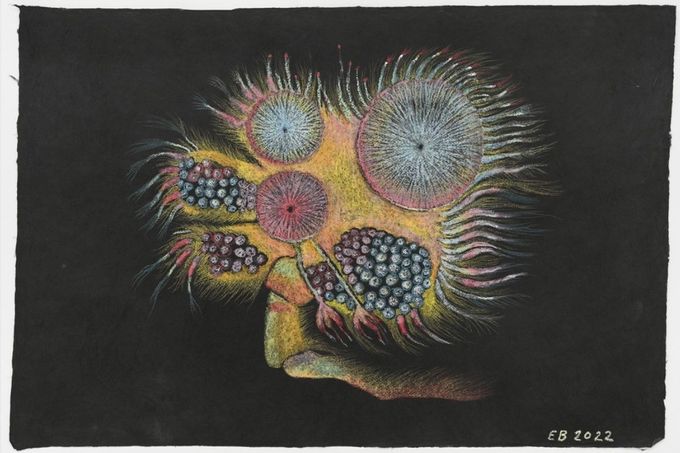 Výstava Erika Bornová – Stíny horkého léta Traudi Schönfeld.