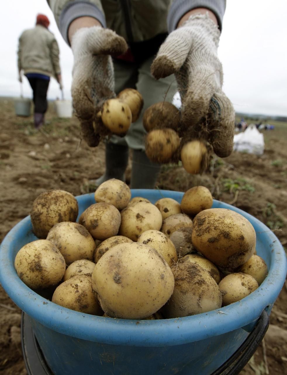 Foto: Krize a barterový obchod