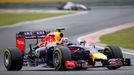 Red Bull Formula One driver Daniel Ricciardo of Australia drives during the Hungarian F1 Grand Prix at the Hungaroring circuit, near Budapest July 27, 2014. REUTERS/Laszl