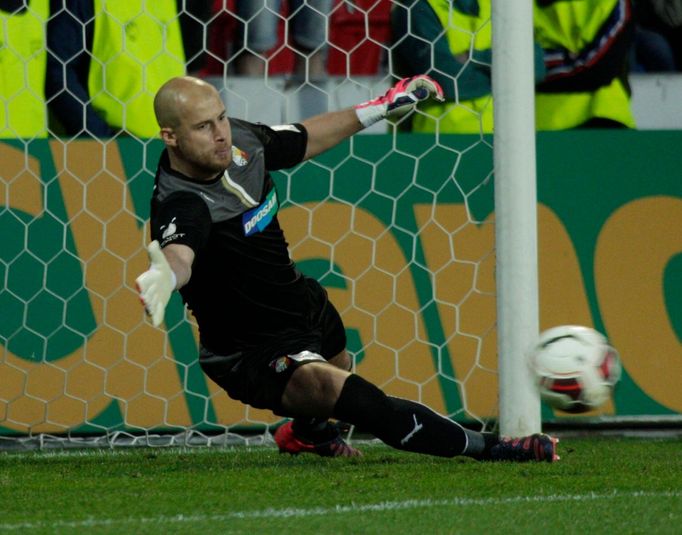 Pohár, Plzeň-Teplice: Petr Bolek