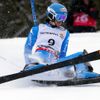 MS ve sjezodvém lyžování 2013, slalom: Irene Curtoniová