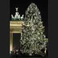 Vánoční strom - Berlín