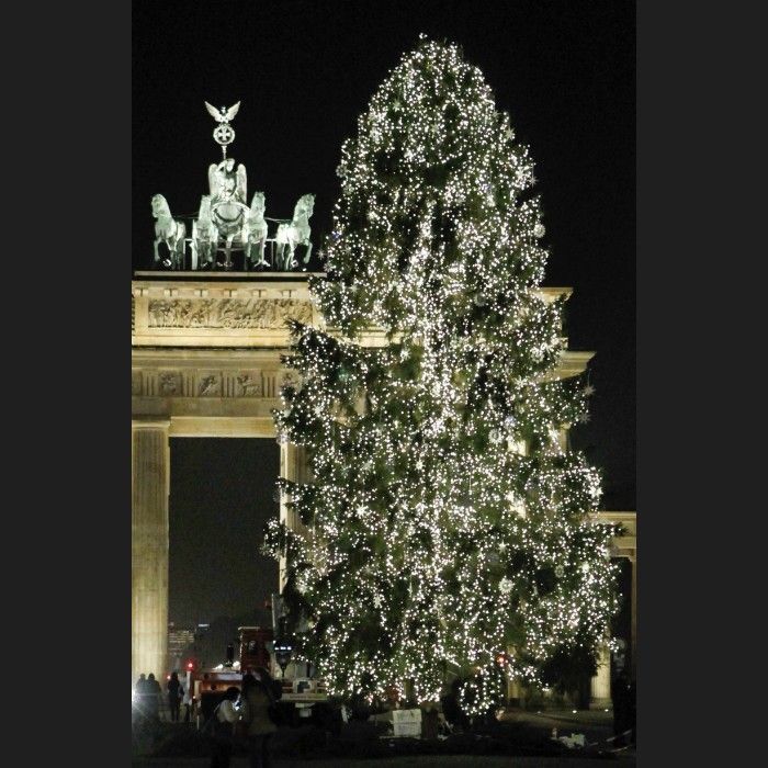 Vánoční strom - Berlín