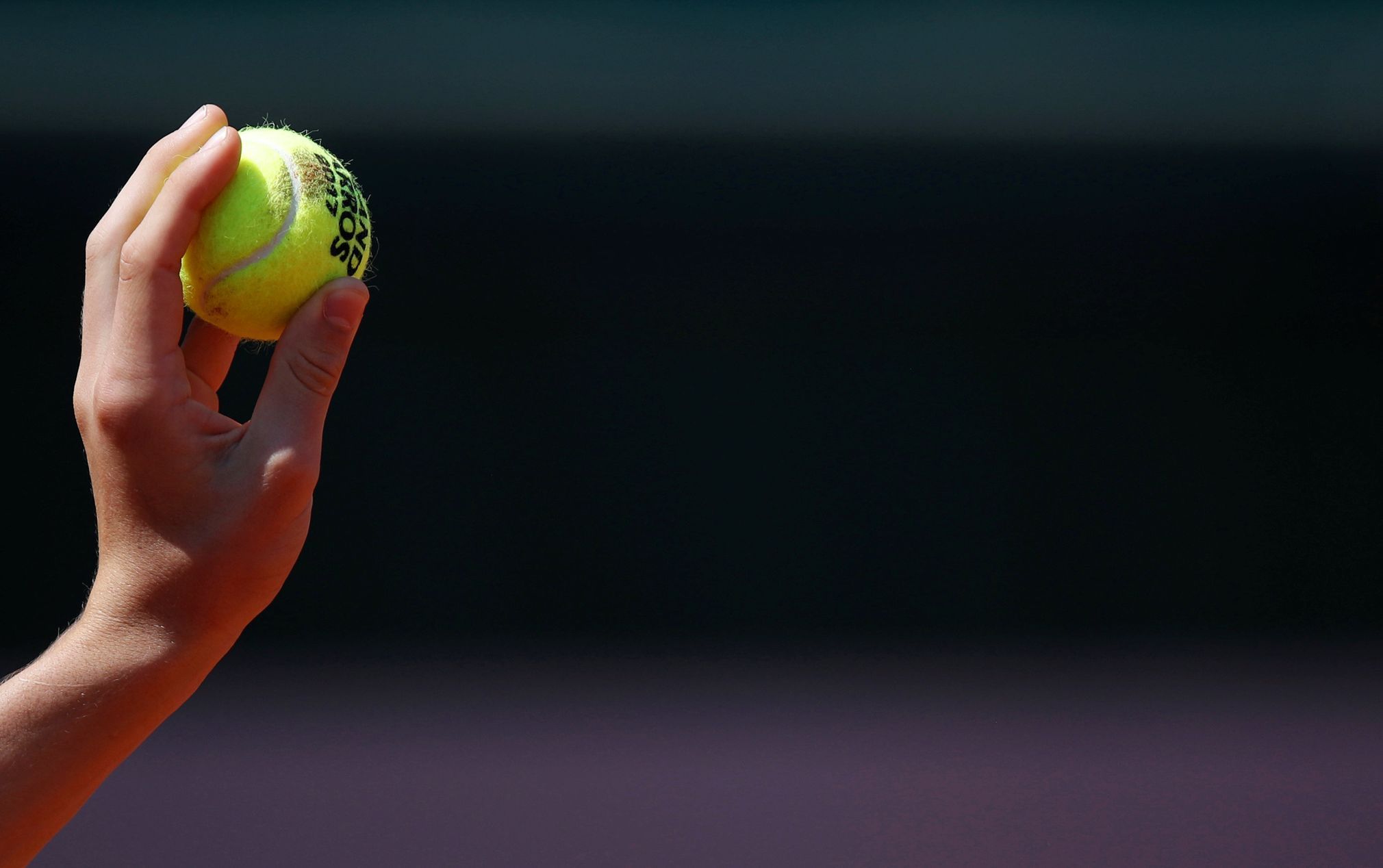 French Open 2017: Agnieszka Radwaňská