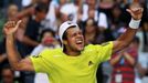 Jo-Wilfried Tsonga