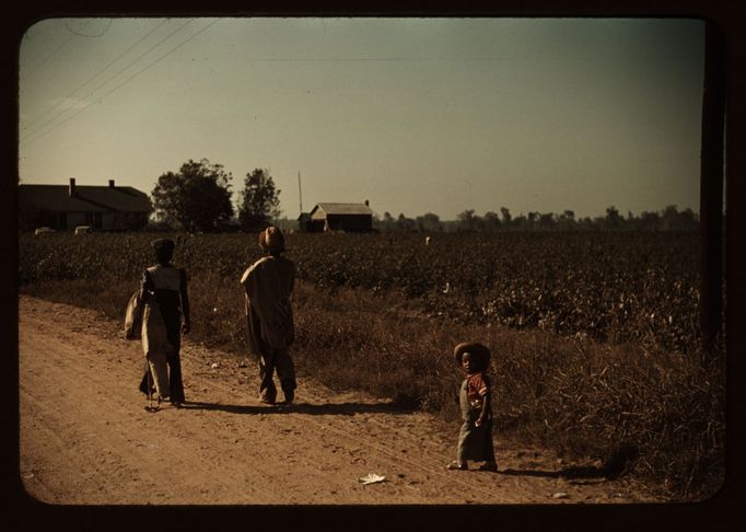 Děti na plantáži v Mississippi, 1939.