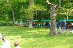 Řidič uháněl s turistickým vláčkem po zlínské zoo. Za nehodu mu hrozí osm let vězení